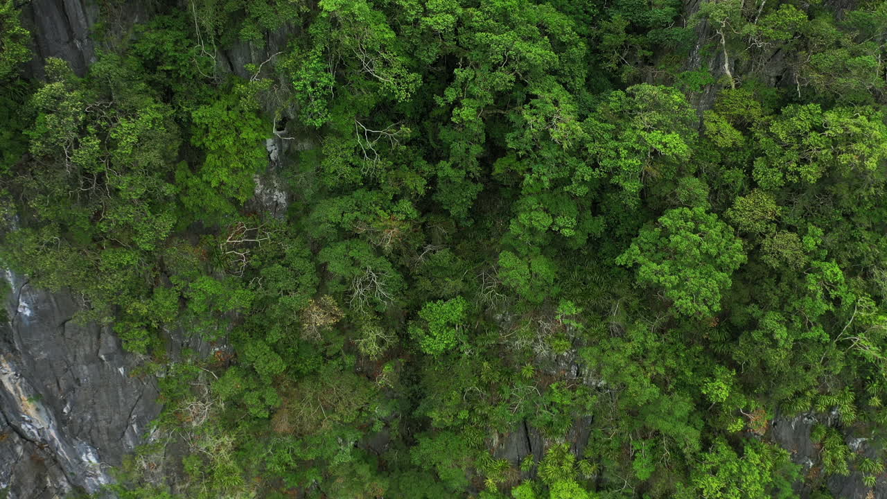 It's a jungle out there