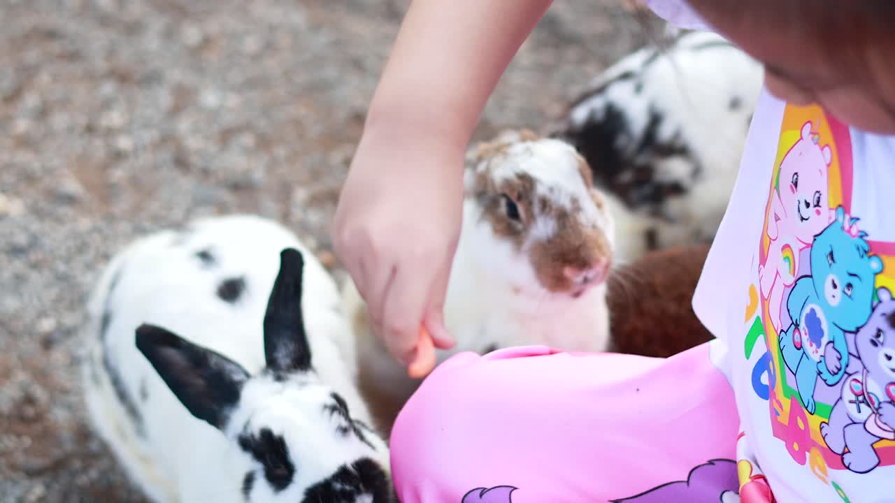 떠다니는 시장에서 토끼를 먹이는 아이