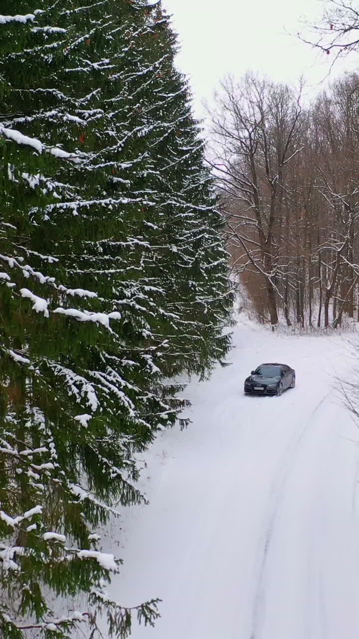 Winter landscape. Forest and country road in the snow. Black car in the forest. Snow covered coniferous trees. Backward movement. Vertical video