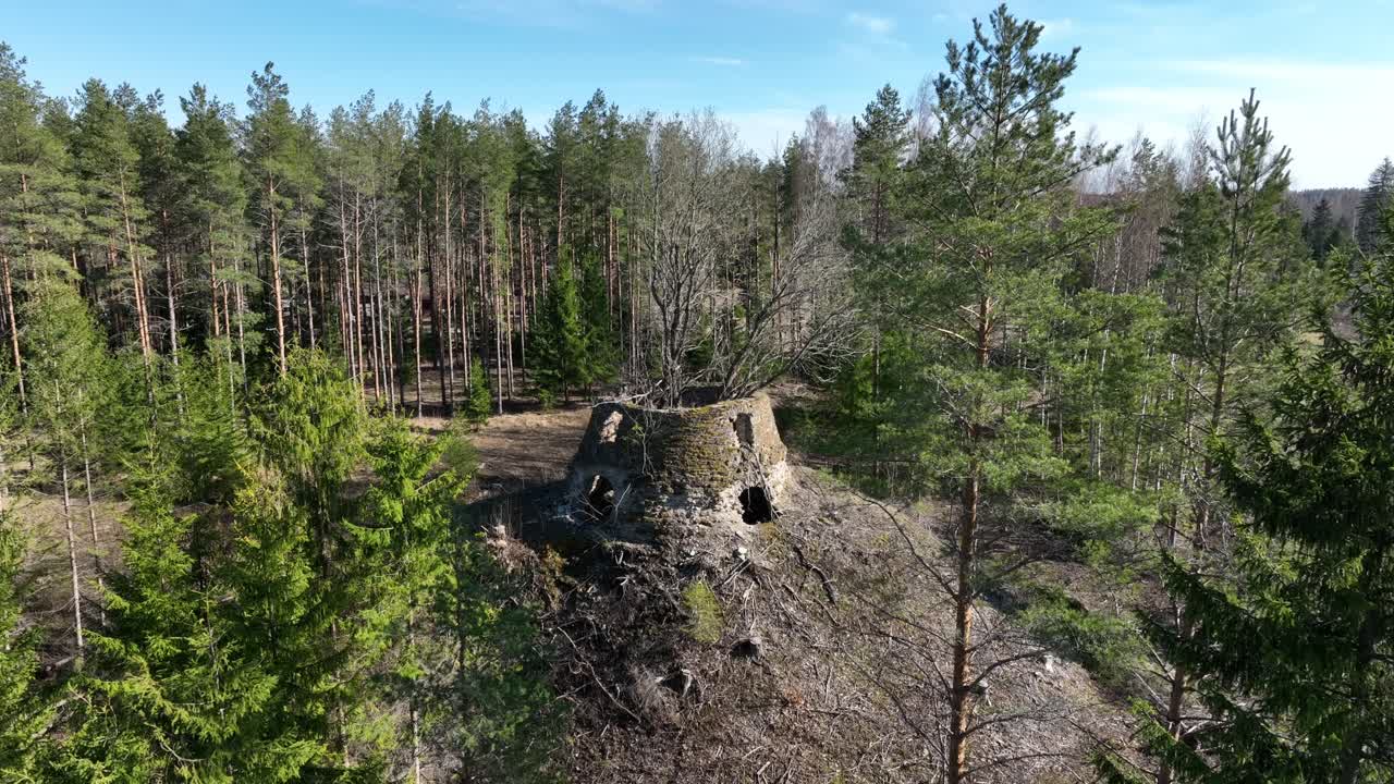 마 마을에 있는 오래된 풍차의 유적과 그 안에 자라는 나무들. 에스토니아.