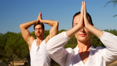 Couple-performing-yoga-at-safari-vacation-4k