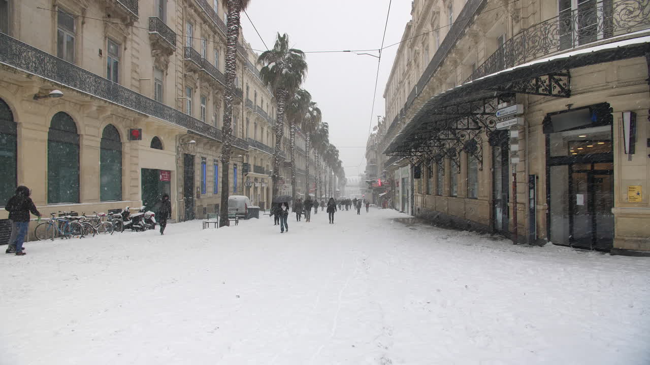 몽펠리에의 나무로 인 거리 루 드 라 리포블릭
