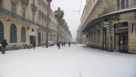 Calle-Con-Palmeras-Cubiertas-De-Nieve-En-Montpellier,-Rue-De-La-Republique.