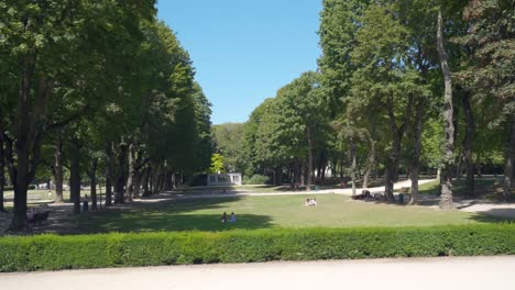 dolly lateral disparó en el parque urbano con altos árboles verdes y follaje