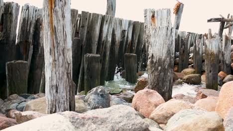 sea-waves-at-old-wooden-bridge-remains