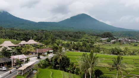 Volcán-Bali---Terrazas-De-Arroz-Jatiluwih