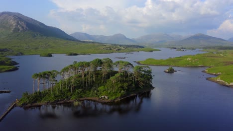 Pine-Island,-Derryclare-Lough,-Connemara,-County-Galway,-July-2021