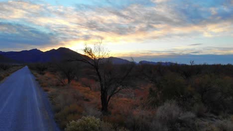 Blue-hour-in-the-high-desert-and-the-southwest-USA-landscapes