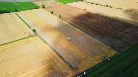 workers on combine harvester collect ripe grain