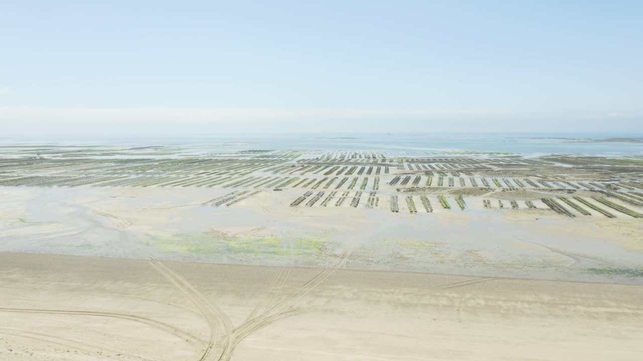 프랑스 노르망디 해변에서 썰물 때 모래 해안과 얕은 근해의 굴 양식장