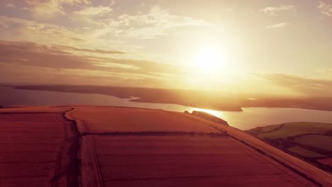 drone footage of golden fields