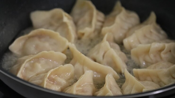 Pan-frying gyoza dumpling jiaozi at home.