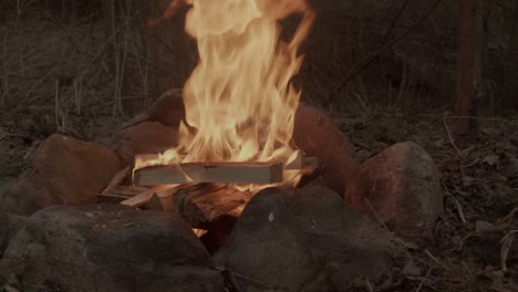 una hoguera ardiendo en el crepúsculo de la noche.