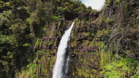 vuelo fpv aéreo ascendente que muestra una cascada gigantesca rodeada de árboles verdes y montañas en la naturaleza de hawaii durante el día soleado
