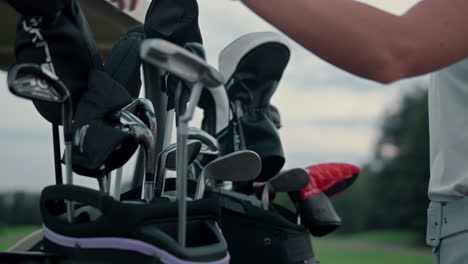 Woman-choose-golf-clubs-in-equipment-bag.-Pro-golfer-prepare-on-green-field-game