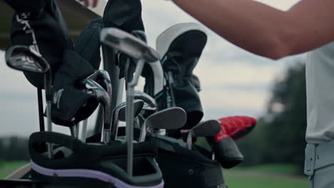 woman choose golf clubs in equipment bag. pro golfer prepare on green field game