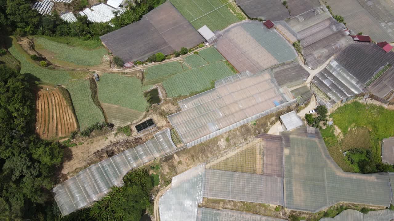 말레이시아의 카메론 하이랜드 지역 내의 브린창 지역의 일반 풍경