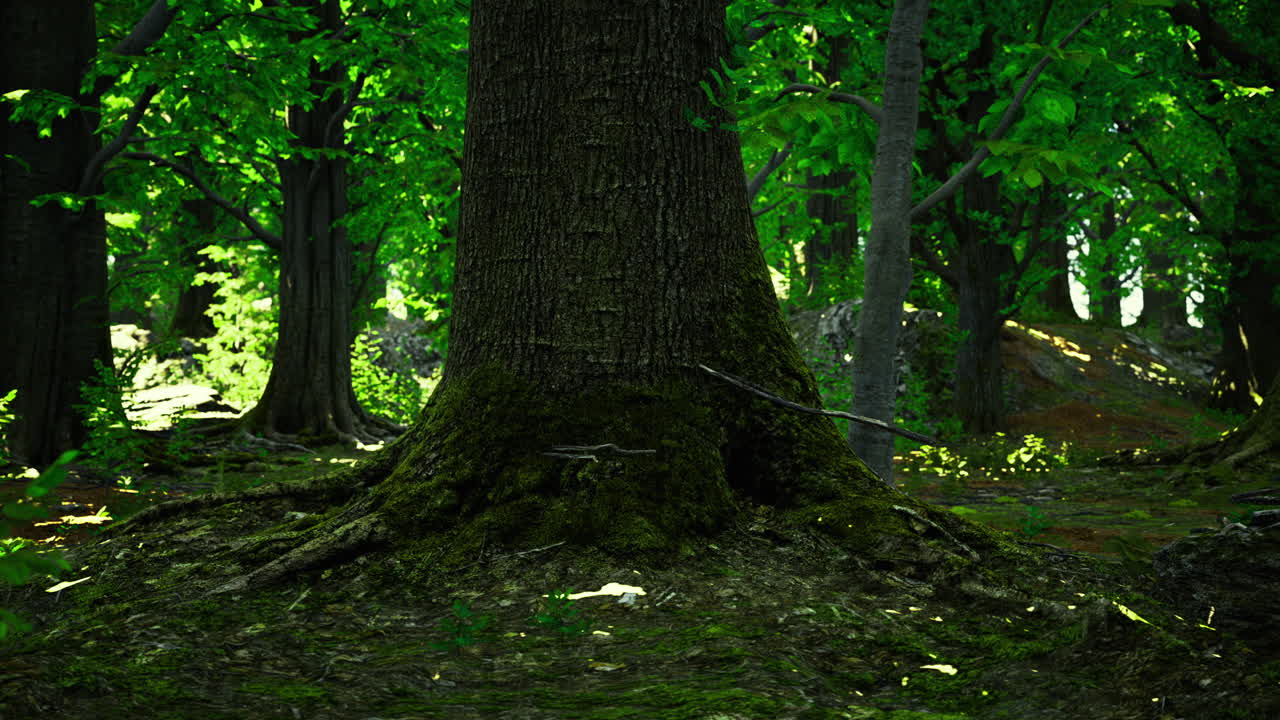 Majestic tree roots intertwined in a vibrant green forest during daylight