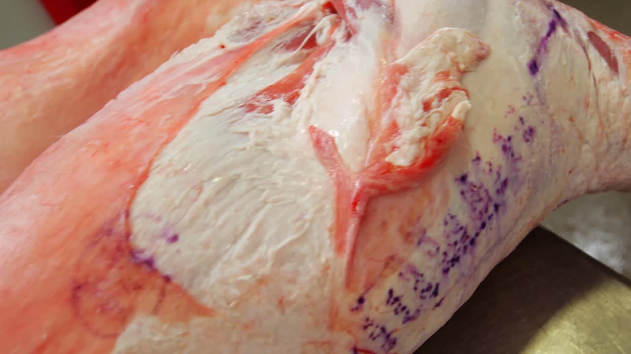 동물 고기의 클로즈업