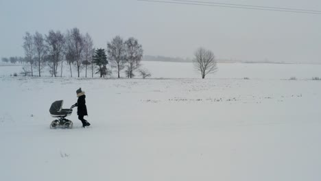 Alleinerziehende-Mutter-Schiebt-Kinderwagen-Durch-Dichten-Schnee-Auf-Der-Straße,-Bewölkter-Wintertag