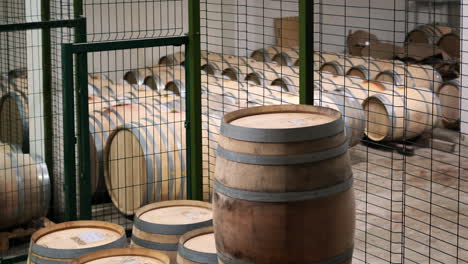 wine barrels in a winery cellar