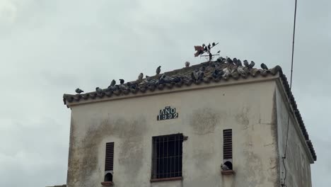 Pasando-Por-Estructuras-Antiguas-A-Lo-Largo-De-La-Costa-De-España,-Adornadas-Con-Bandadas-De-Palomas-En-Lo-Alto,-Que-Evocan-El-Encanto-Arquitectónico-Antiguo.