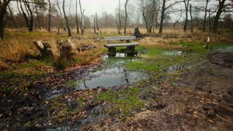 abandoned bench in wet nature reserve with damp surface and puddle during winter