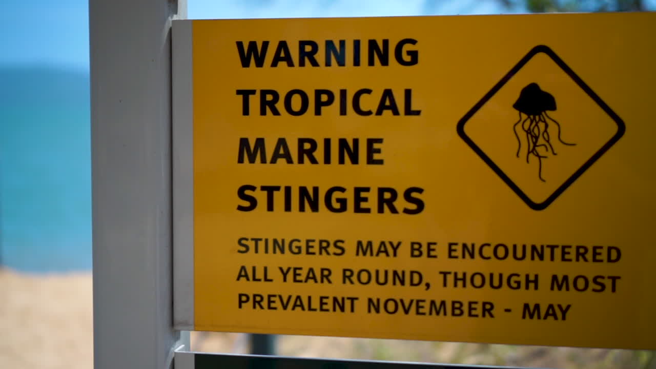 foto de la ruta de entrada a la playa australiana de arena en un día soleado