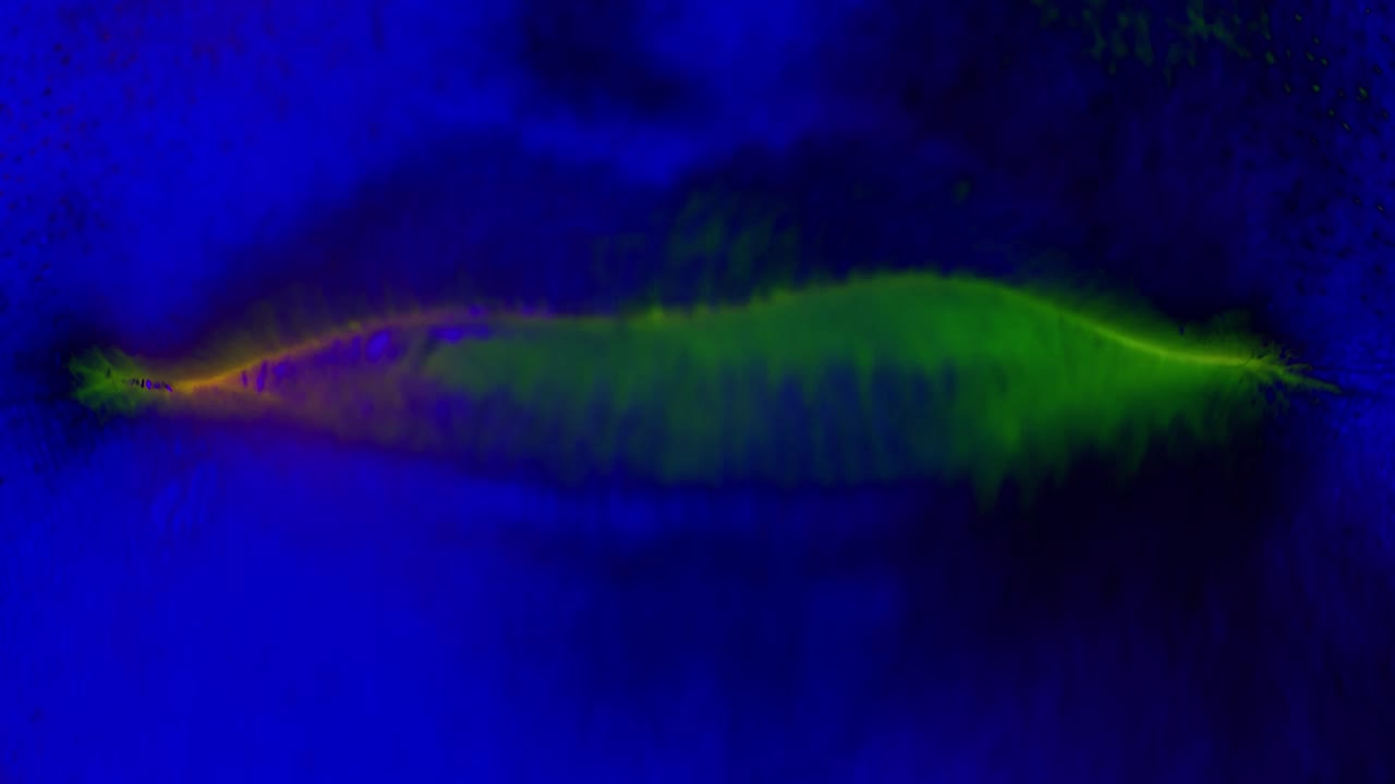 divertido video en stop motion de partes de la cara.