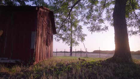 Antiguo-Cobertizo-De-Madera-En-El-Campo