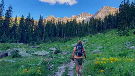 Filmische-Luftaufnahmen,-Menschen,-Die-Mit-Hund-Wandern,-Alpiner-Sonnenuntergang-An-Den-Blue-Lakes,-Colorado,-Mount-Sniffels,-Dallas-Peaks,-Wildnis,-Schnee,-14er-Peak,-Lila-Wildblumen,-Ridgway-Telluride,-Ouray-Silverton,-Wanderung,-Langsam-Folgen