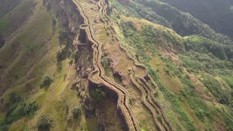 overgrown zunjar machi in torna fort, medieval hill fort in india