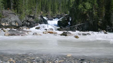 waterfall in river in yoho valley in summer daytime in yoho national park, british columbia,canada in summer daytime