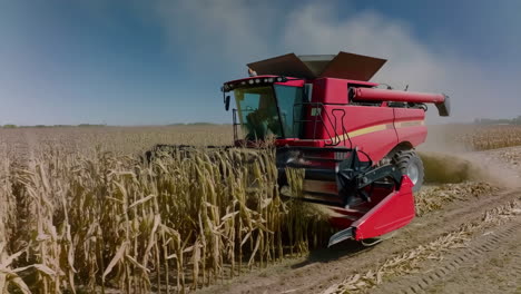 red combine harvester working in a corn field