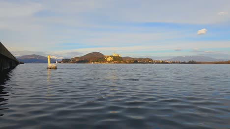 lake water surface level perspective of swan swimming away