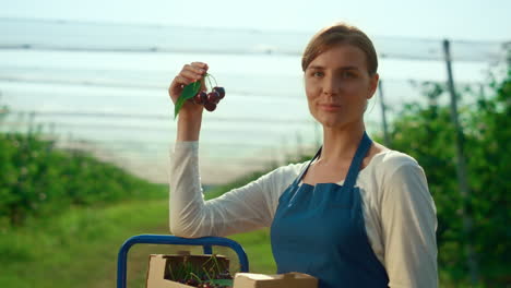 successful young woman holding orchard cherry at sunny tree agrarian plantation.