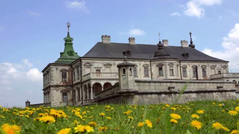 fairytale palace on green hill. old historical architecture