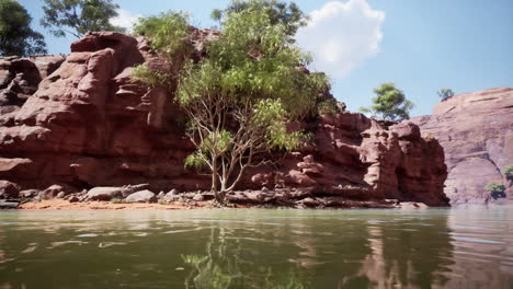 paisaje pintoresco del cañón con río y árboles