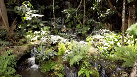 the landscaping of trees with small waterfalls and a variety of plants, the atmosphere is fresh and clear