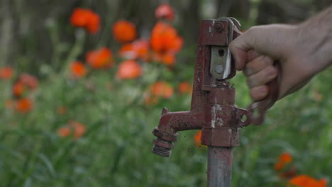 Hand-pumping-old-iron-water-pump-with-no-water