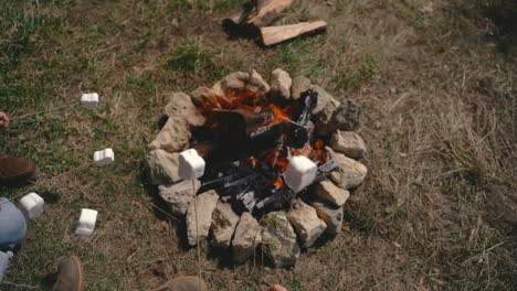 A-Group-Of-Young-People-Warm-Marshmallows-On-A-Bonfire-3