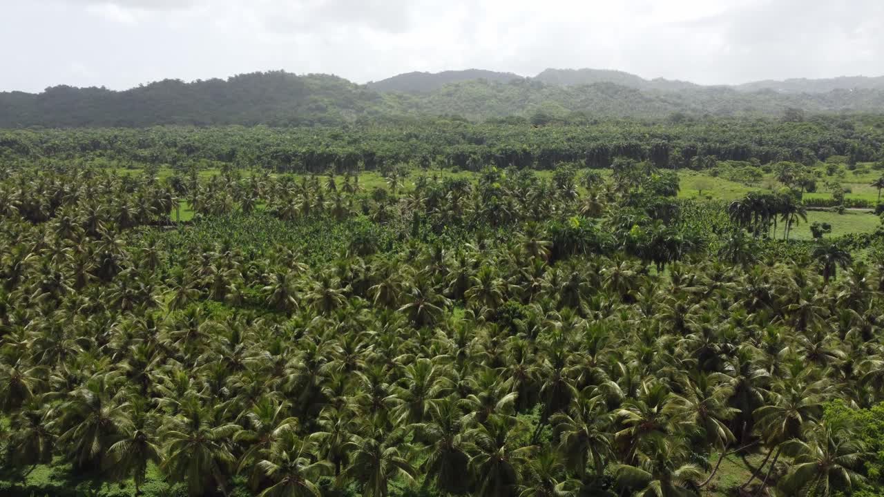 Aerial view of the tropical landscape around the small town El Lim&oacute;n on the peninsula of Saman&aacute; in the Dominican Republic