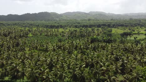 Aerial-view-of-the-tropical-landscape-around-the-small-town-El-Limón-on-the-peninsula-of-Samaná-in-the-Dominican-Republic