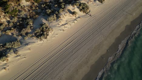 pájaros volando bajo sobre coogee beach, ciudad de perth en australia occidental