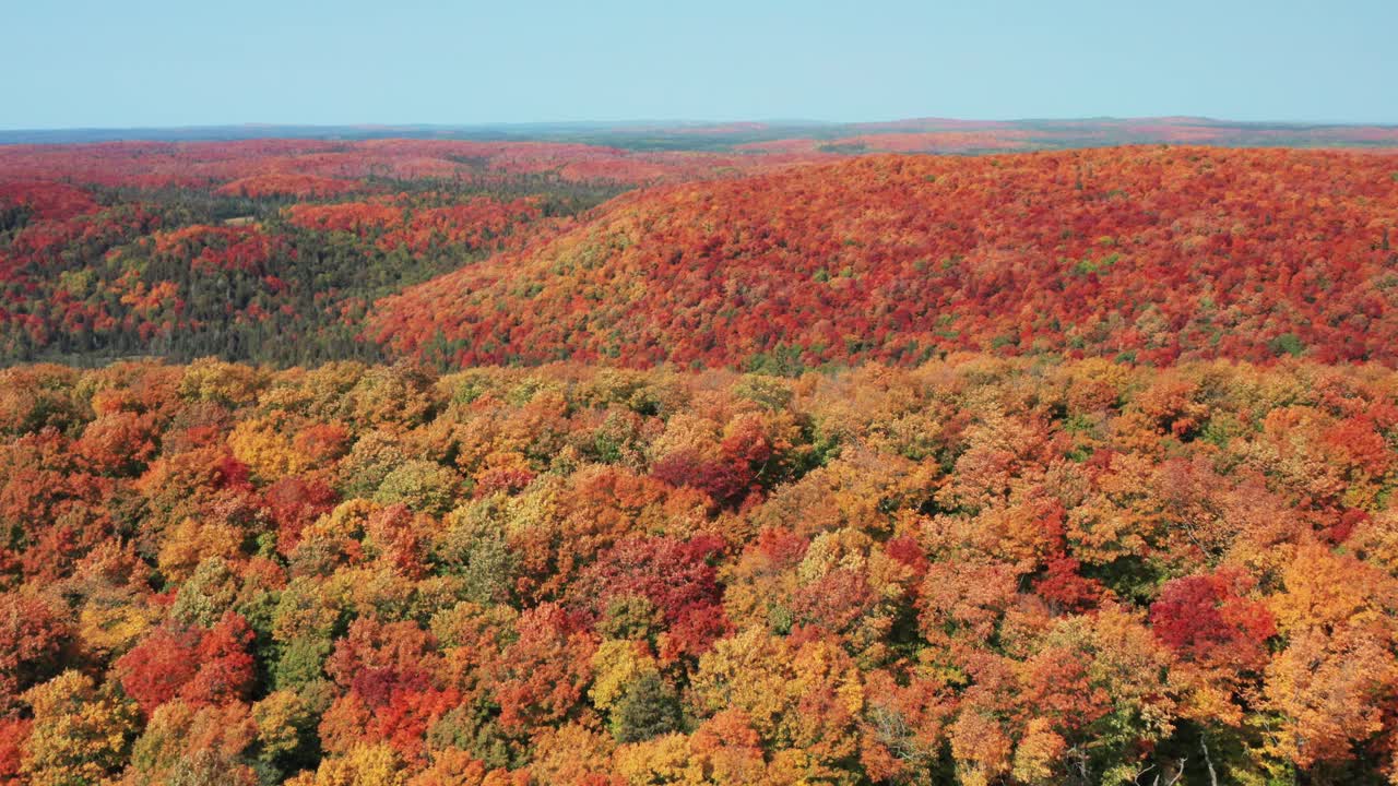 울창한 숲과 아름다운 가을색으로 구불구불한 언덕 위로 날아가는 공중 전망 - 드론 데이
