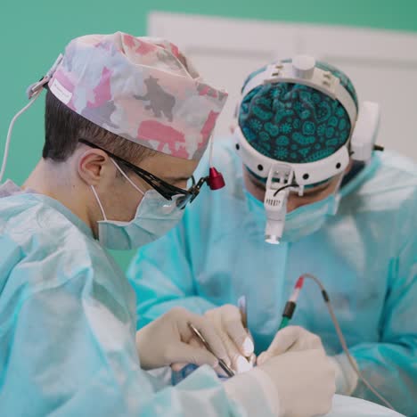 otoplasty surgery. correction of protruding ears. team surgeon at work in operating room.