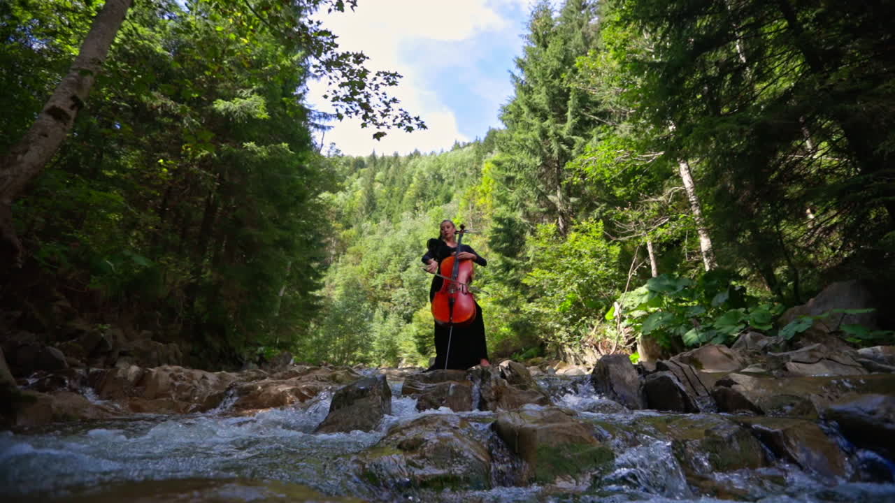 Woman playing cello among summer nature. Female cellist with musical instrument stands on stones with flowing mountain water.