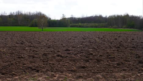 Static-timelapse-of-tractor-on-agricultural-field-planting-onions,-Latvia