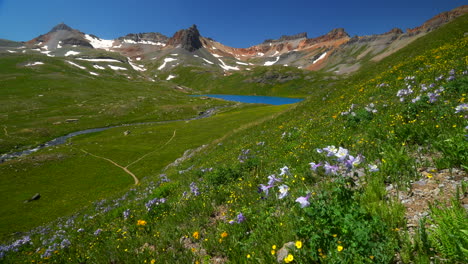 Filmisches-Himmlisches-Paradies,-Eis,-Seebecken,-Weg,-Alpine-Wildnis,-Akelei,-Purple-State,-Wildblumen,-Atemberaubend,-Colorado,-Silverton,-Telluride,-Rocky-Mountains,-Schnee,-Sommer,-Wunderschön,-Schieber,-Bewegung-Nach-Links