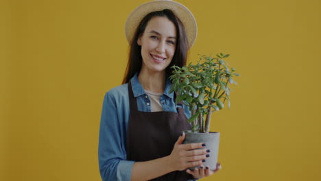 mujer sosteniendo una planta en maceta